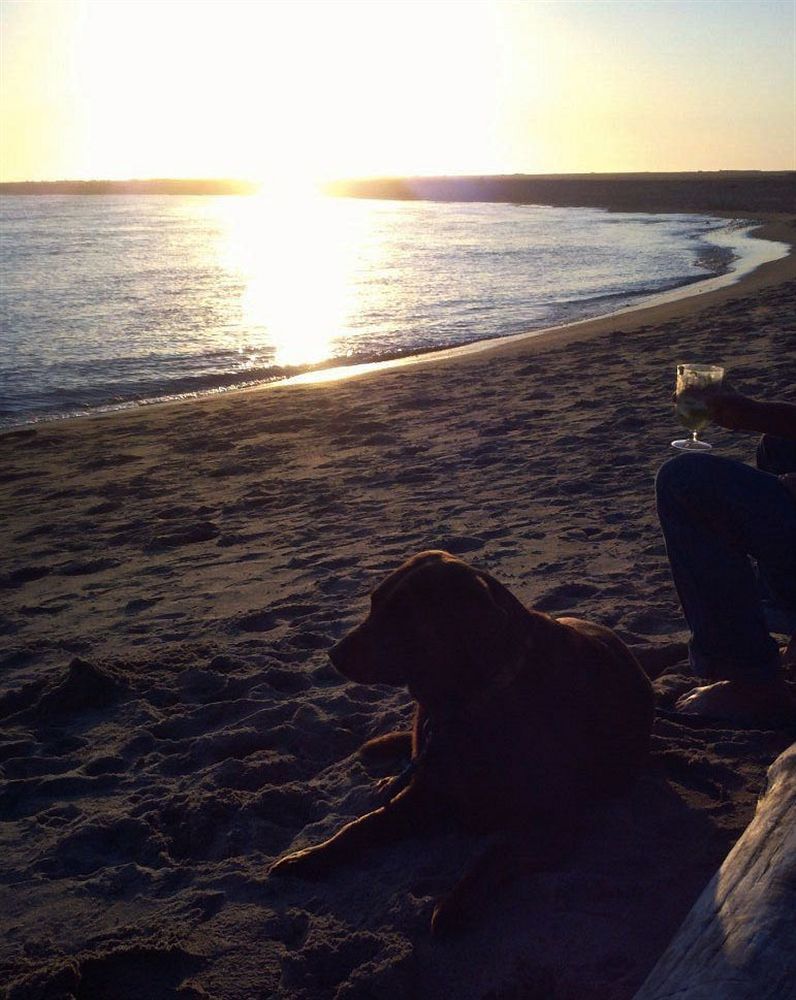 Salmonberry Inn & Beach House ลินคอล์น ซิตี้ ภายนอก รูปภาพ